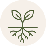 Plant Growing From Roots Icon (3)